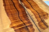 Suhr Limited Edition Two Tone Specs Reb Beach Killer Koa-1-1g.jpg
